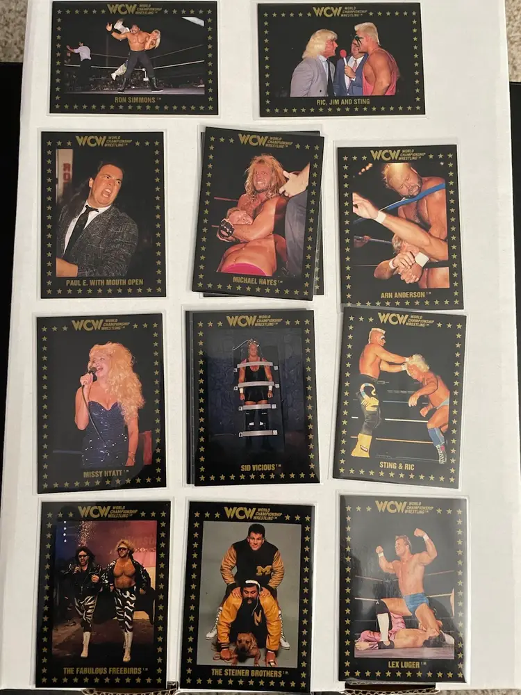 Lot Of 21 WCW 1991 Cards World Championship Wrestling