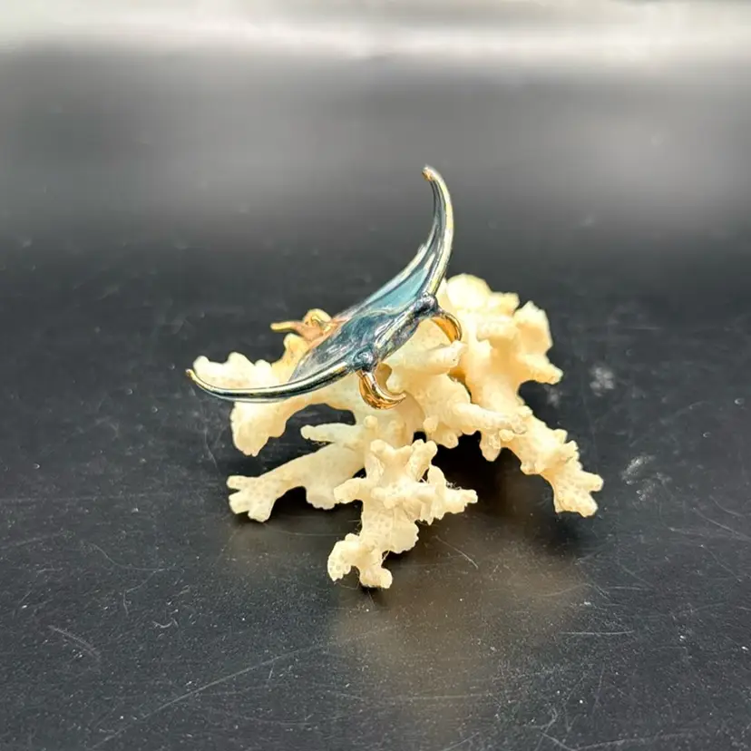 Glass Manna Ray On Real Coral