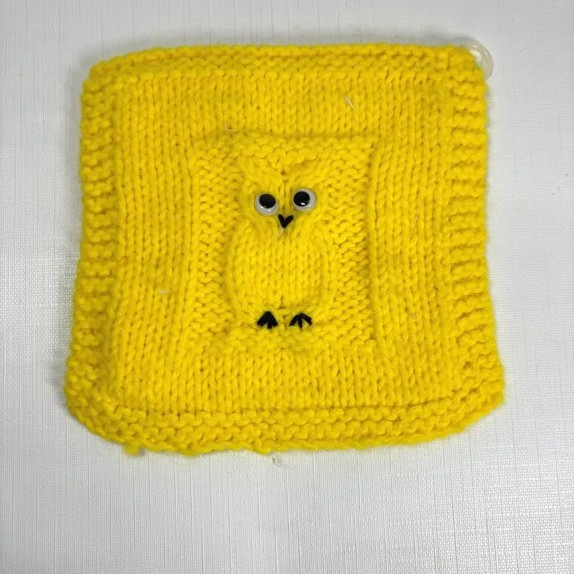 Hand Knitted Owl Hot Pad Pot Holder Trivet Googly Eyes Vintage Mid Century