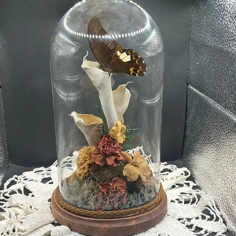 Preserved Papilio butterfly in a glass dome with dried floral arrangement. 10”