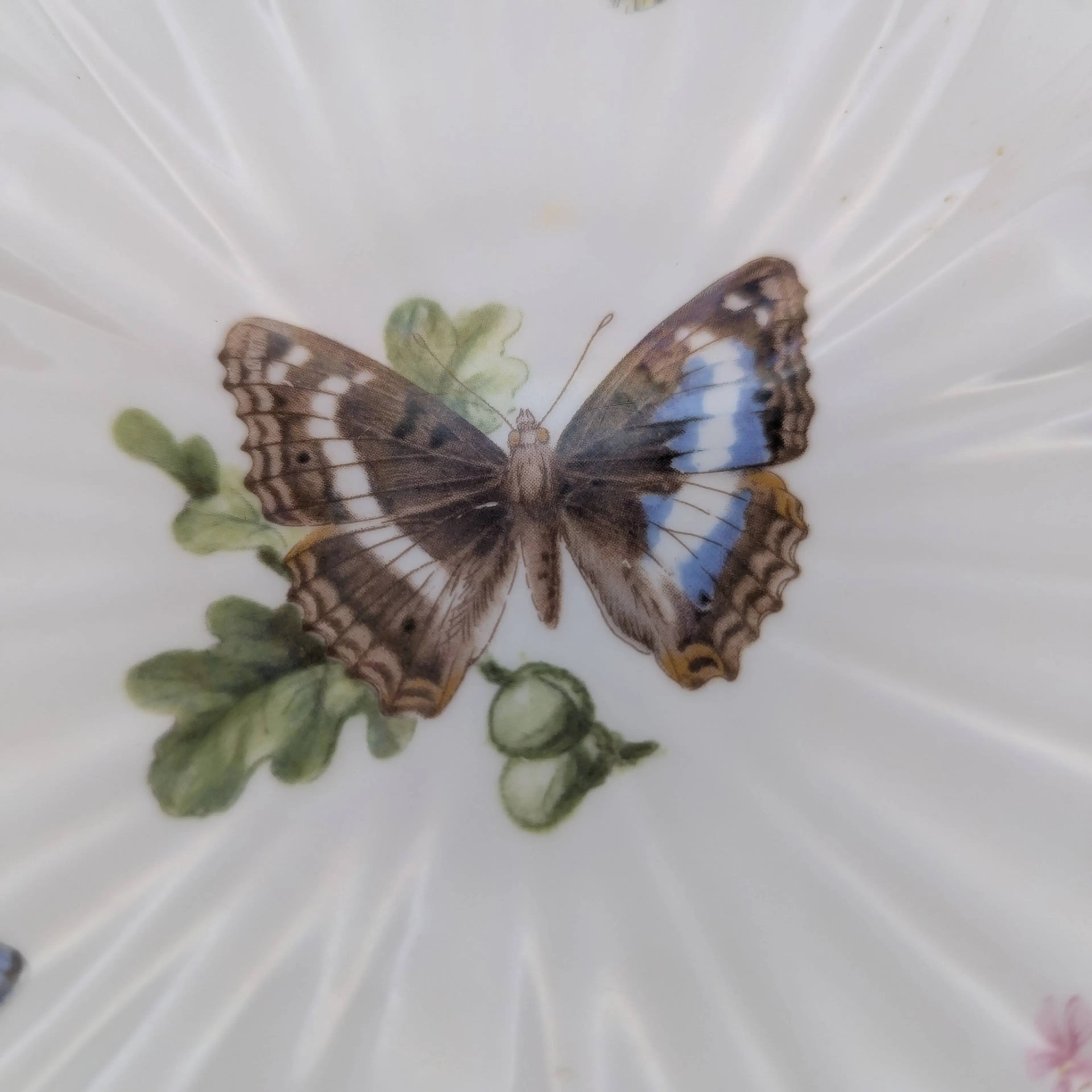 Image 4 of 6