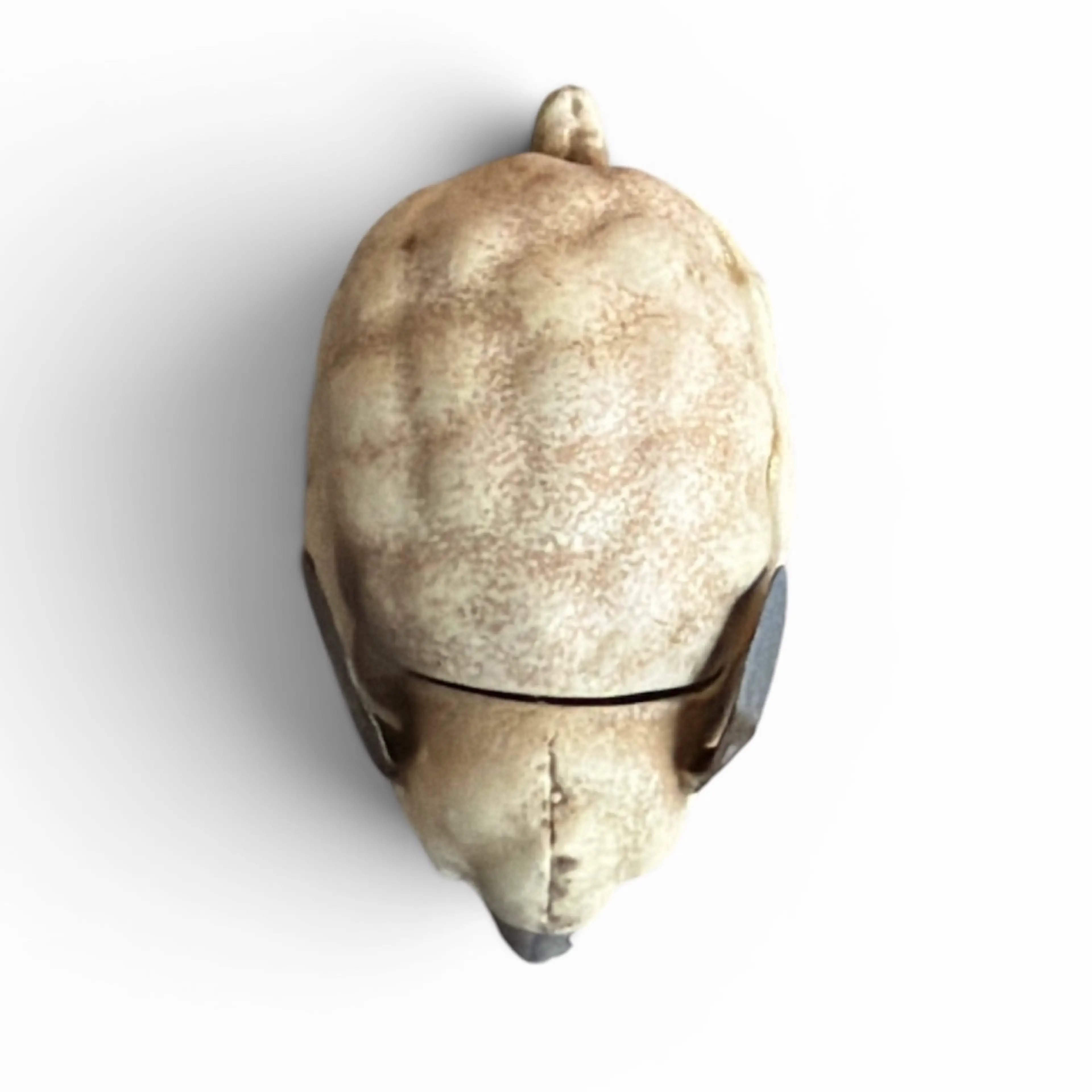 Image 3 of 5