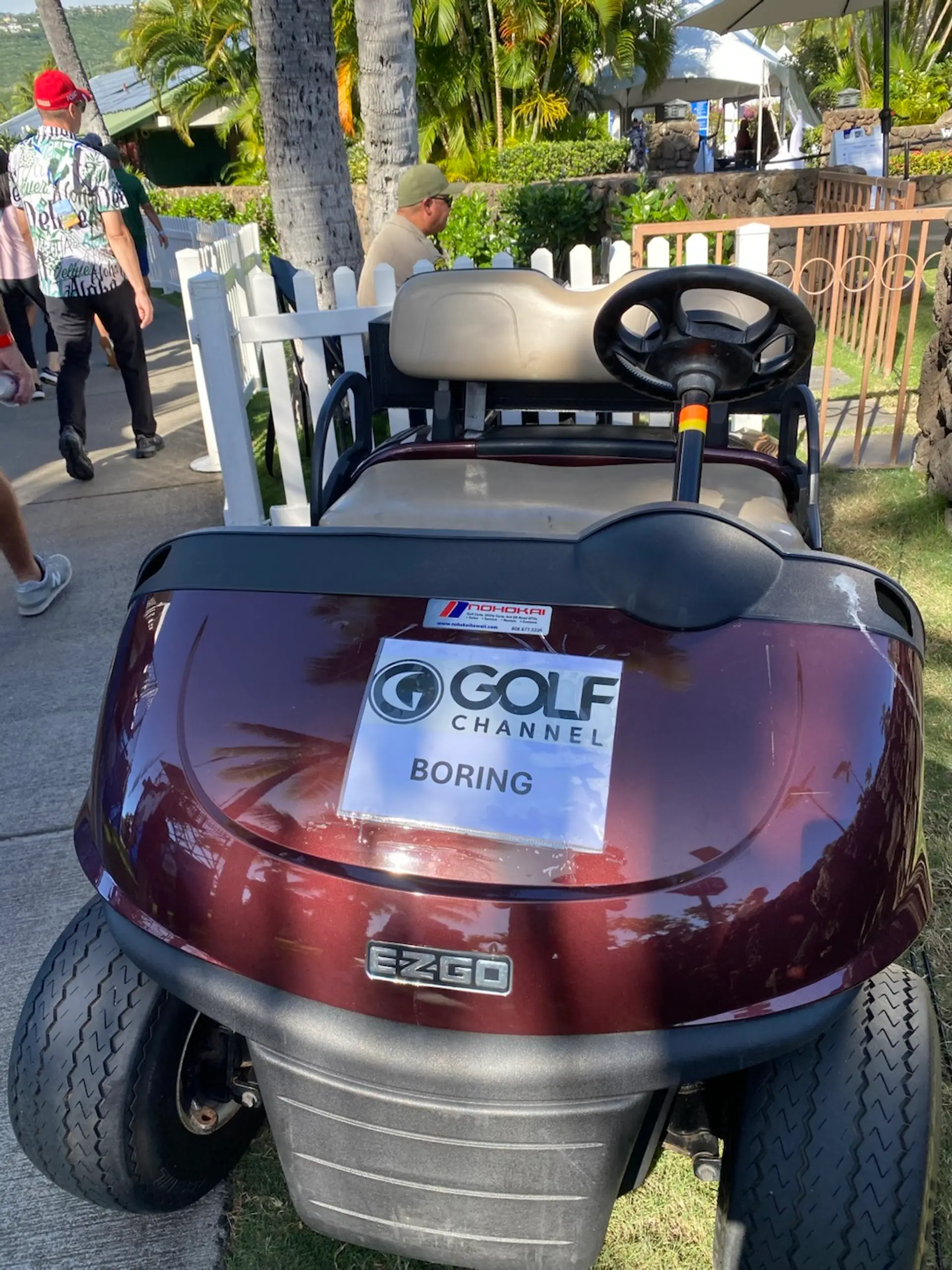 Late Night With Windy !