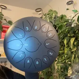 Steel Drum 10in Black