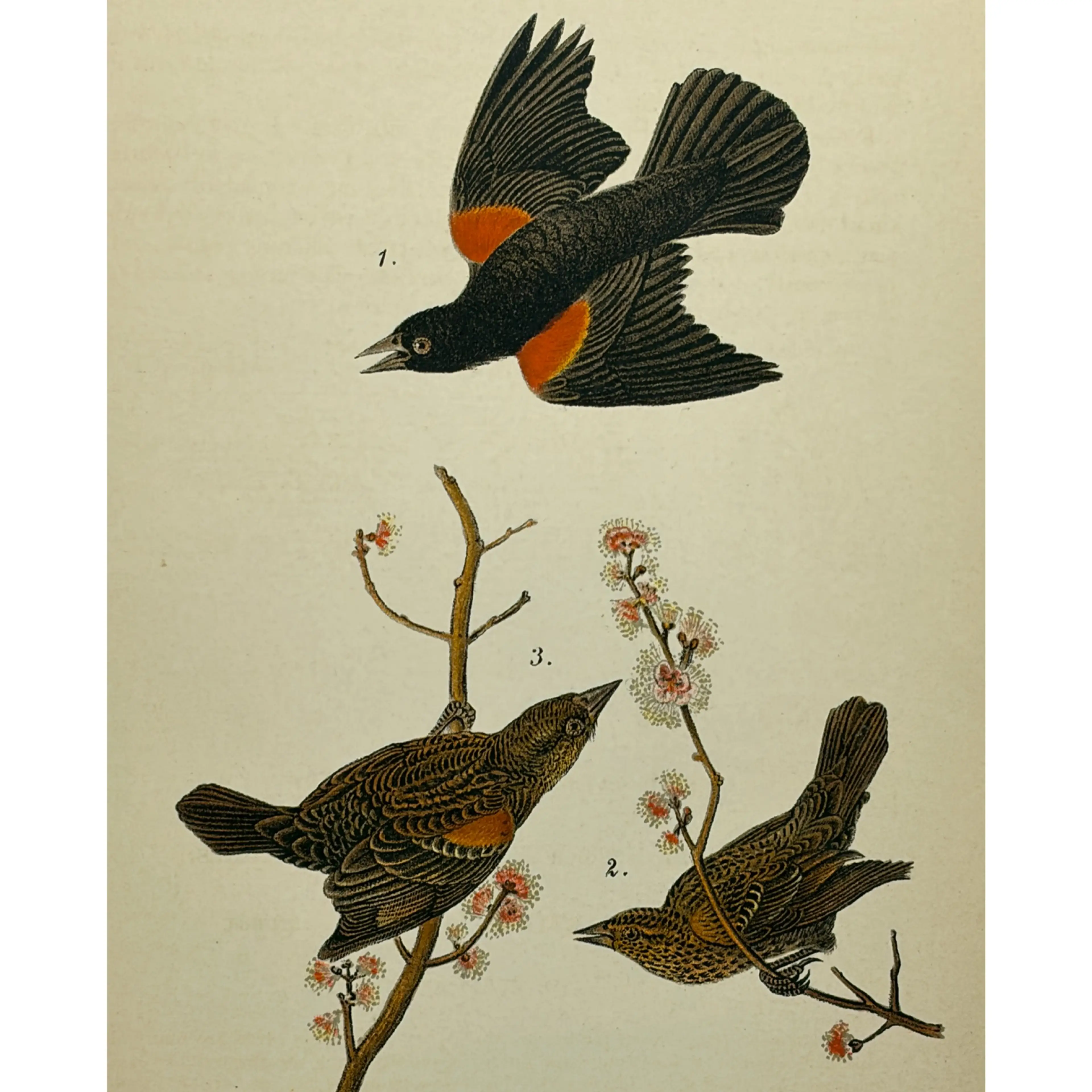 Image 2 of 9