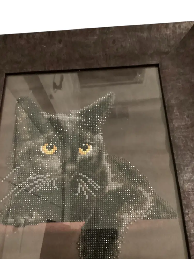 Finished Diamond Art Framed Black Cat 16x19