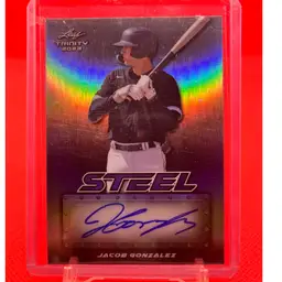 #35 - Jacob Gonzalez Leaf Auto