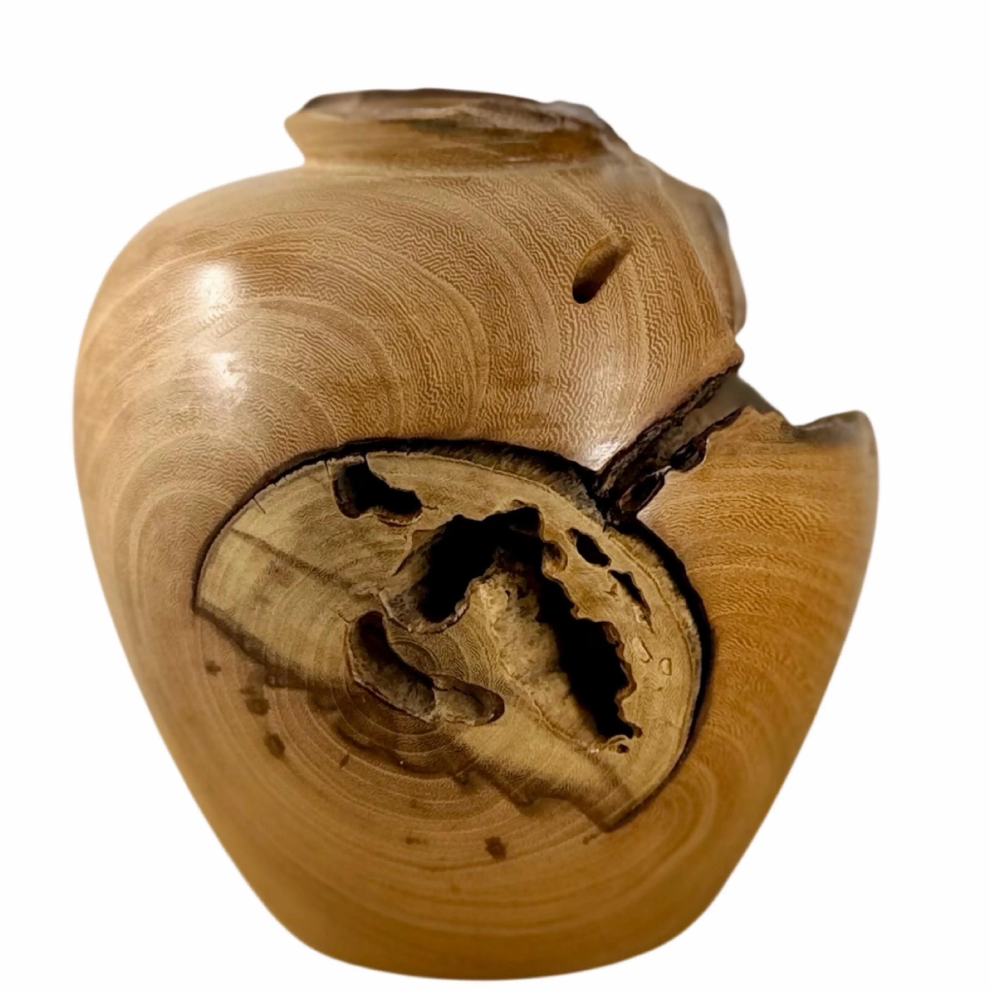 Image 1 of 13