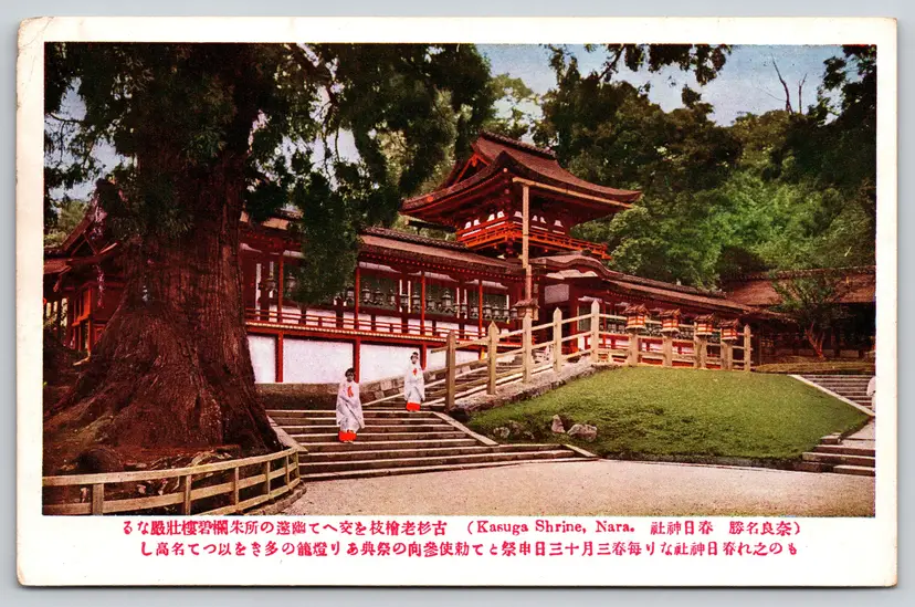 Postcard Kasuga Shrine Nara Japan - 9707