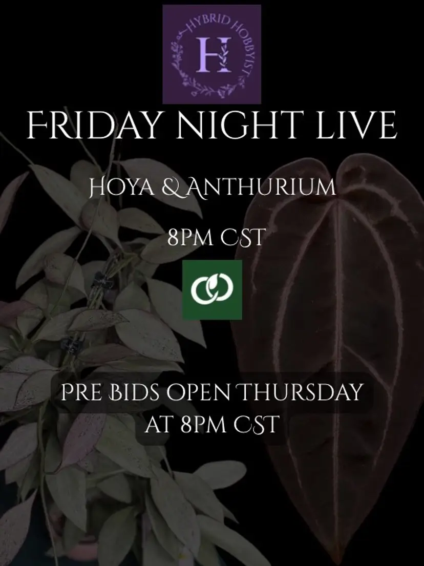 Livestream thumbnail