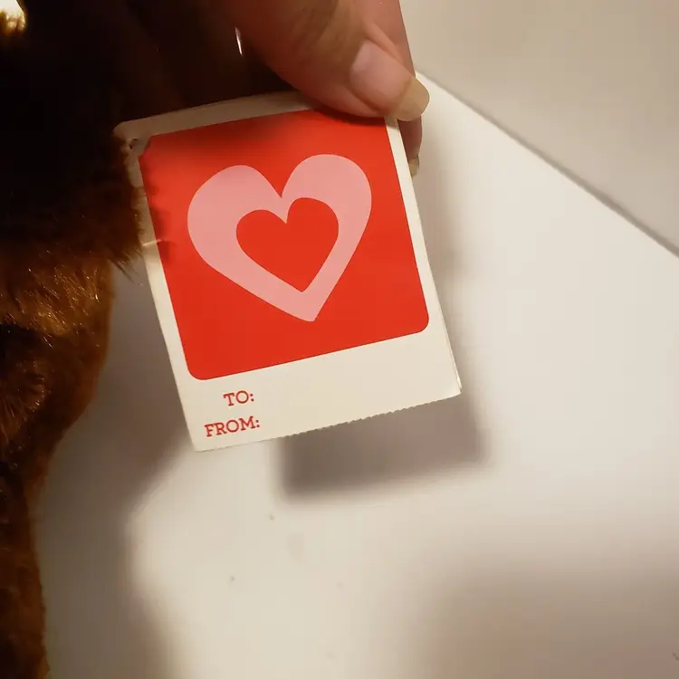 Bear Stuffed Animal 12" Brown Valentines Bear Plush Applique Heart Feet