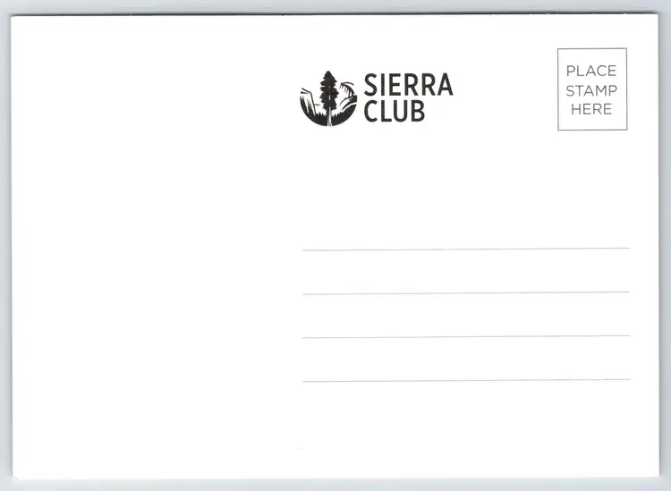 Postcard Sierra Club Denali National Park Alaska Tallest North American Mountain - 16308