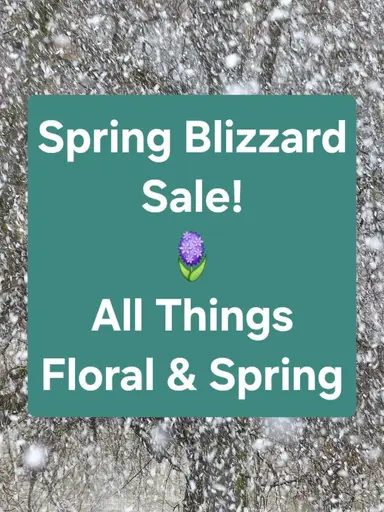 Spring Blizzard Sale! 