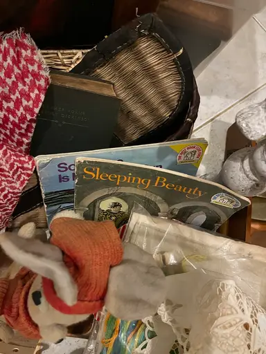 Goodwill Outlet Haul!