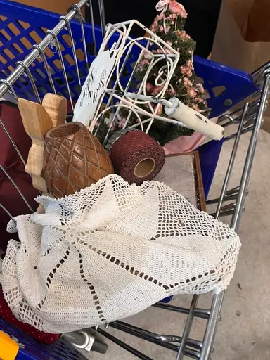 Goodwill Outlet Haul