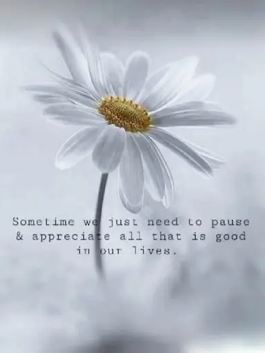 Another Clearance Sale