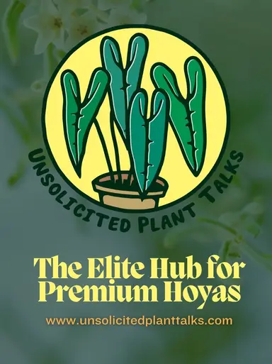 Hoyas at Their Finest, Right Here!