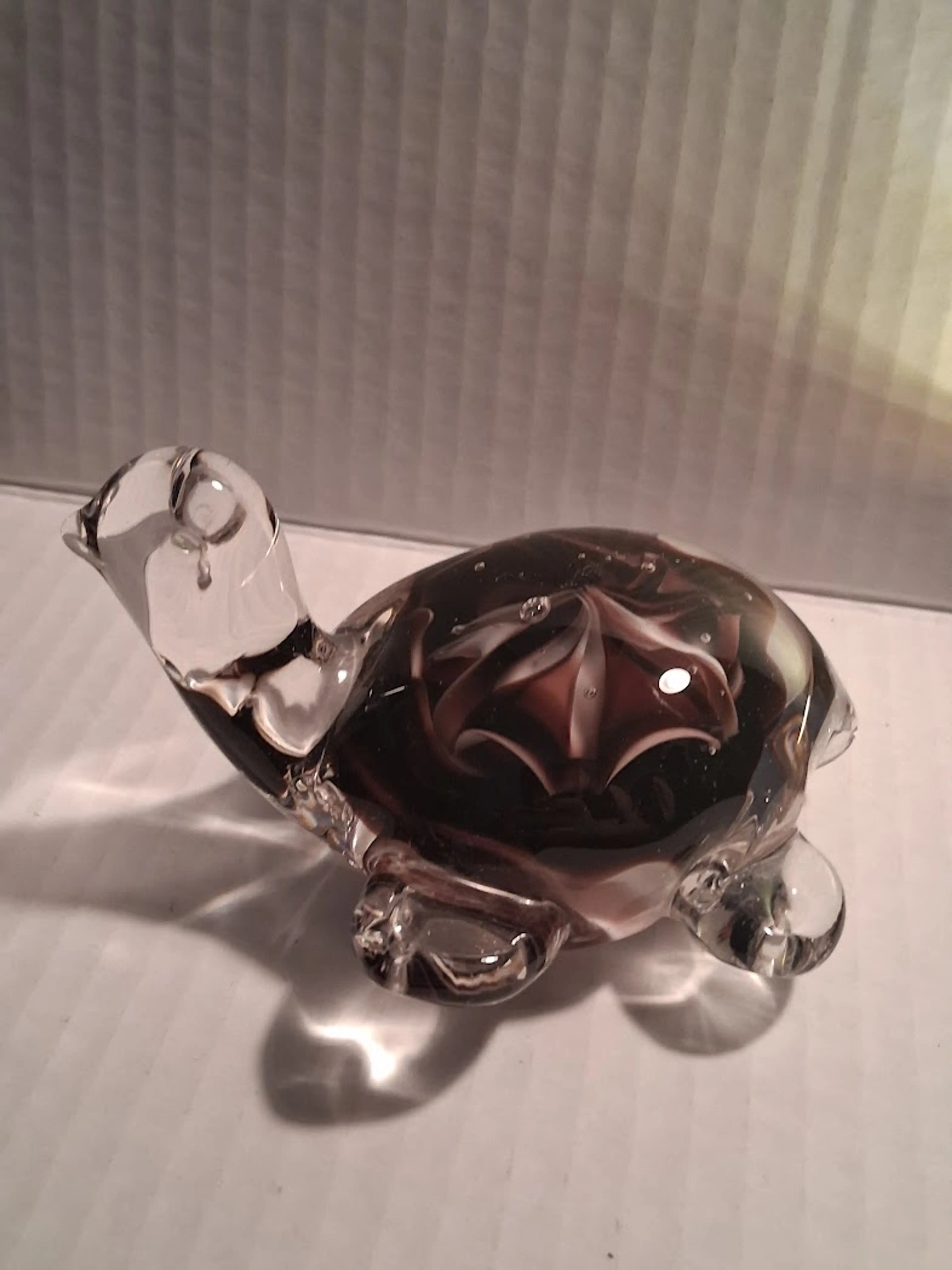 Image 3 of 5