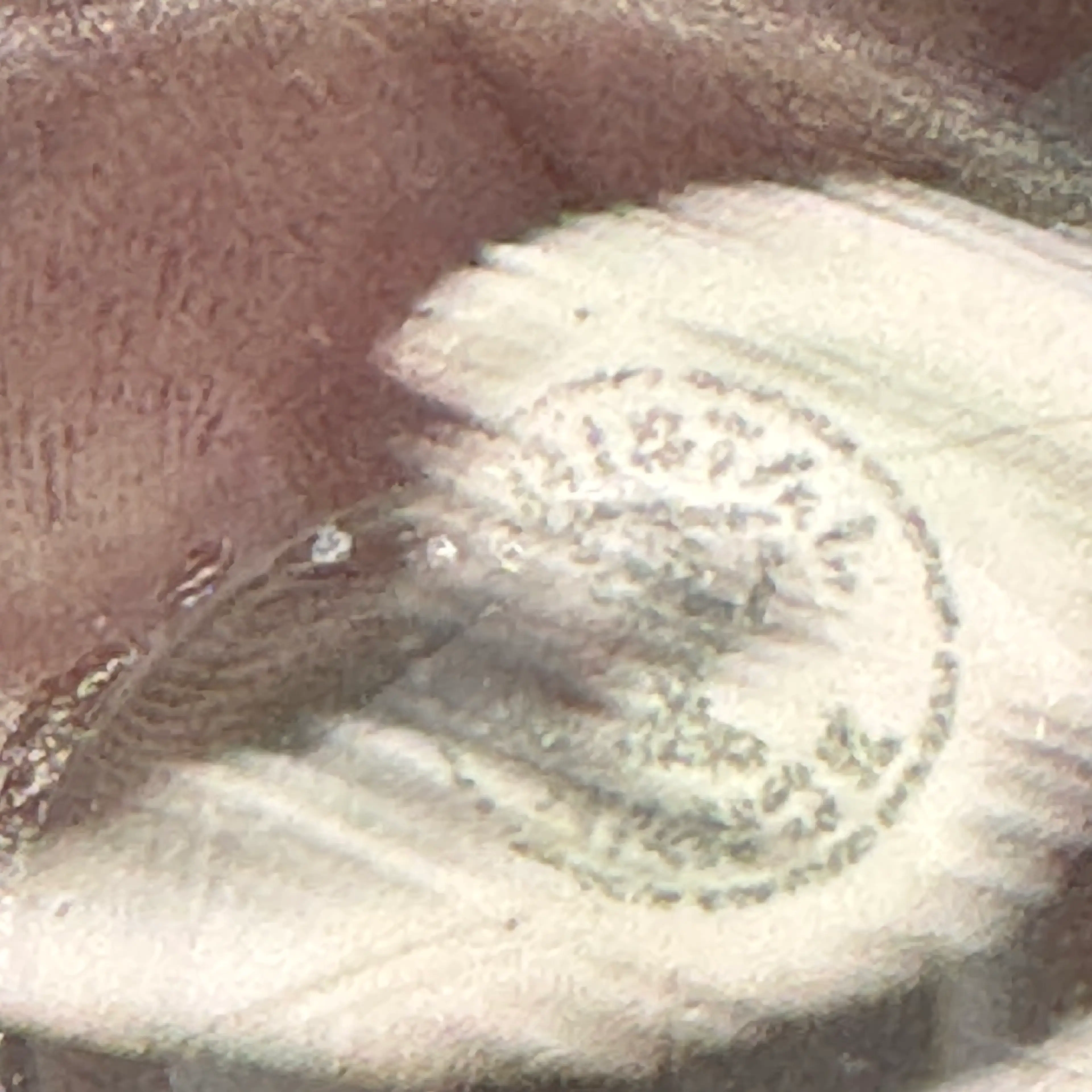 Image 5 of 5