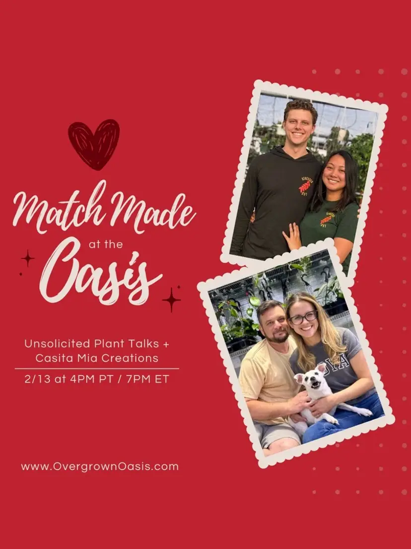 Livestream thumbnail