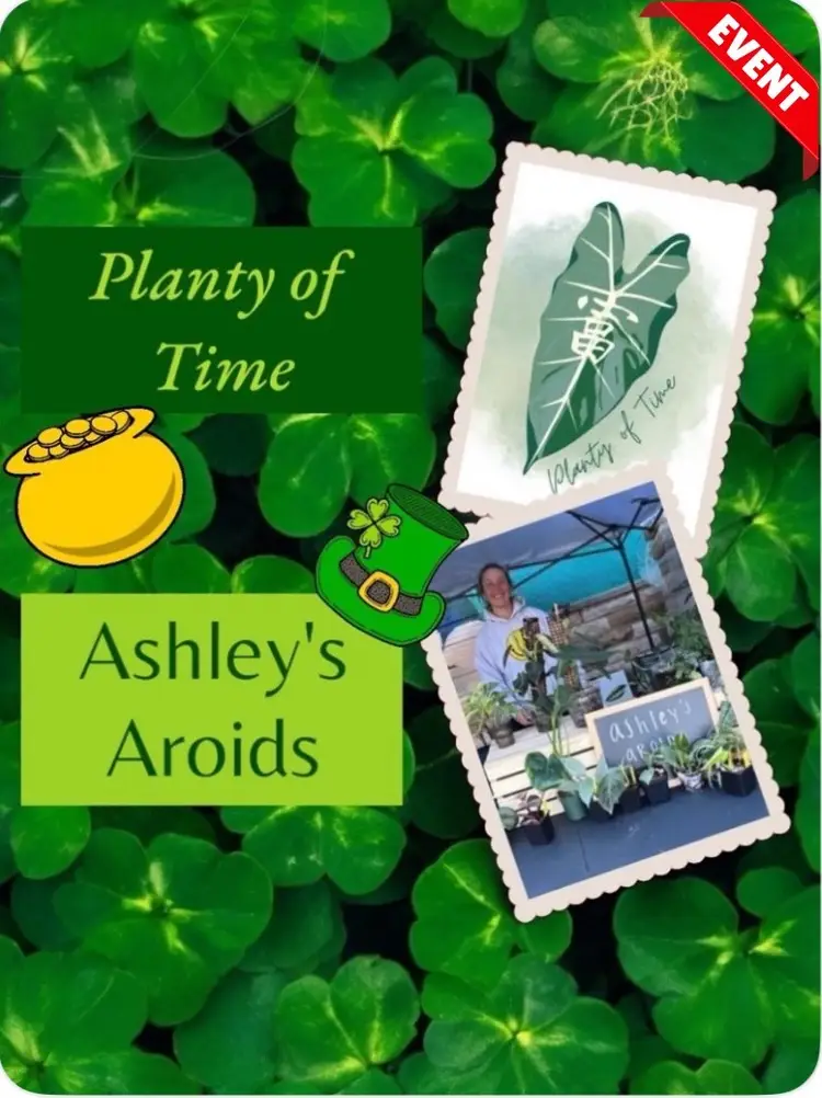 Ashley's Aroids & Planty of Time