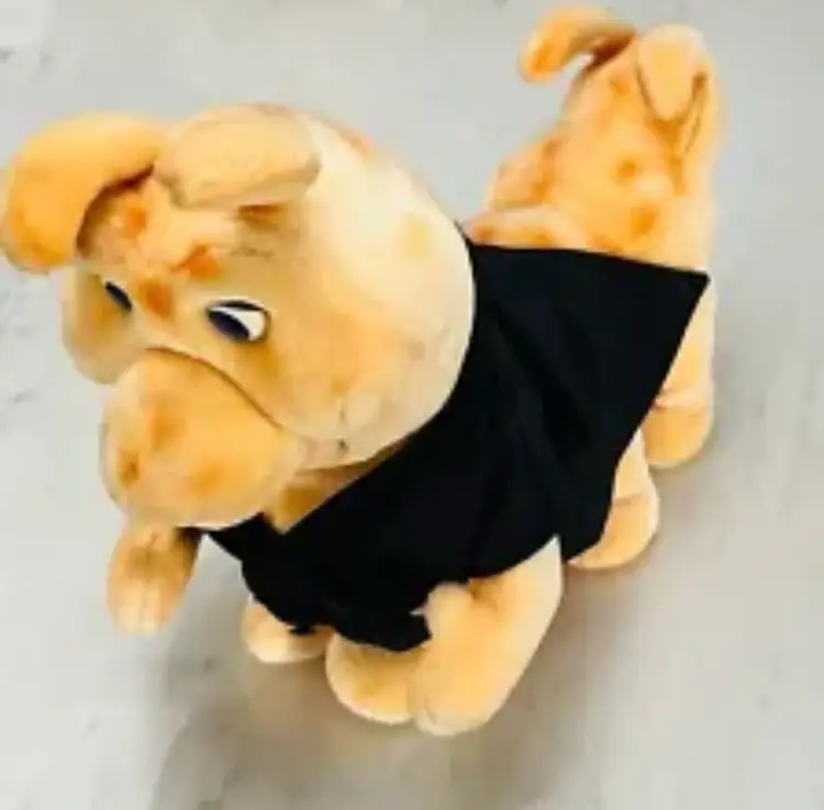 1985 Grubby Caterpillar - Friend of Teddy Ruxpin + New Cassette Grubby’s Romance