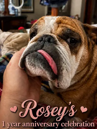 Rosey’s 1 Year Anniversary Blow Out Celebration Sale!!!