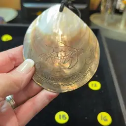 She’ll Carved Turtle