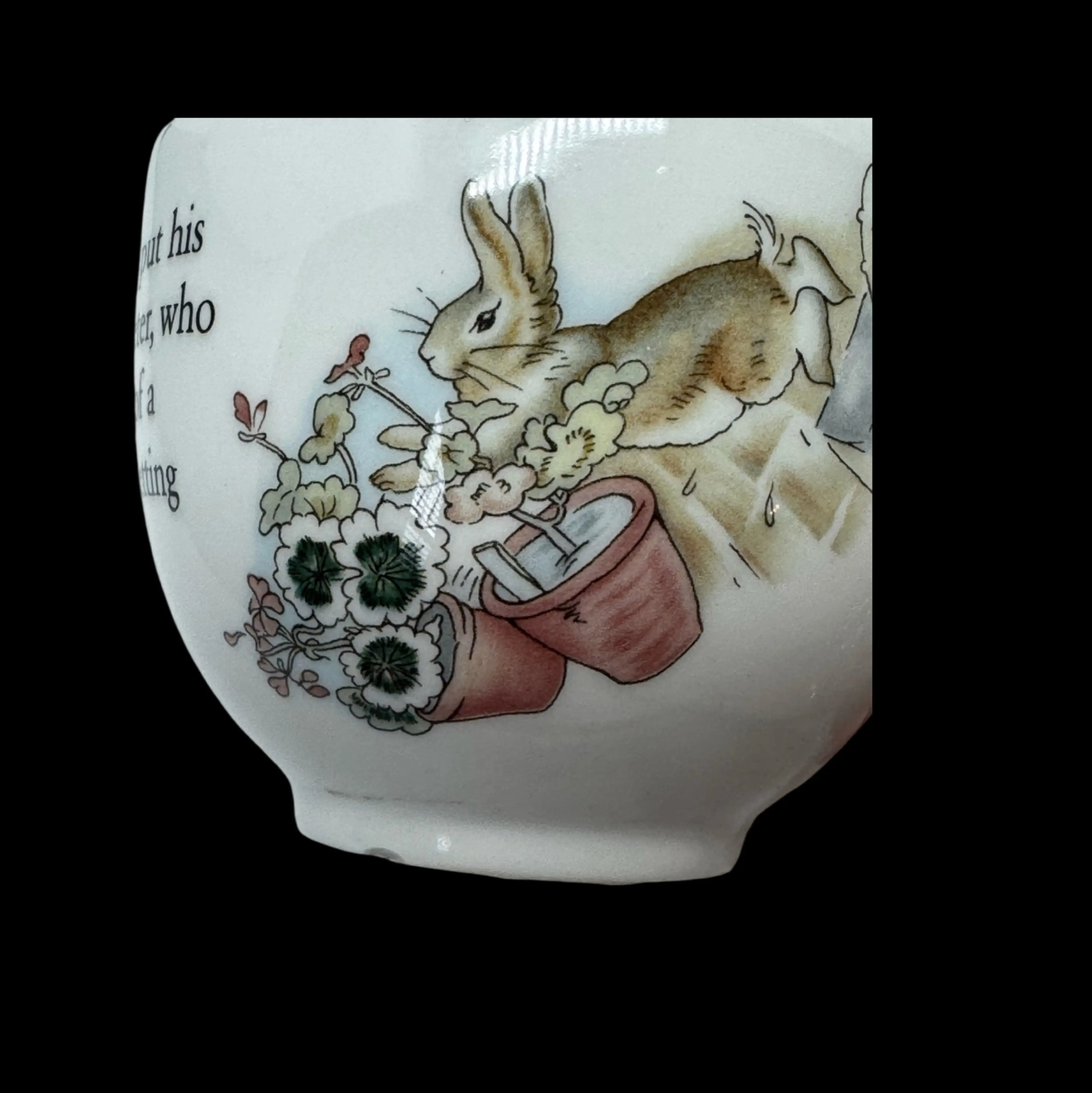 Image 2 of 8