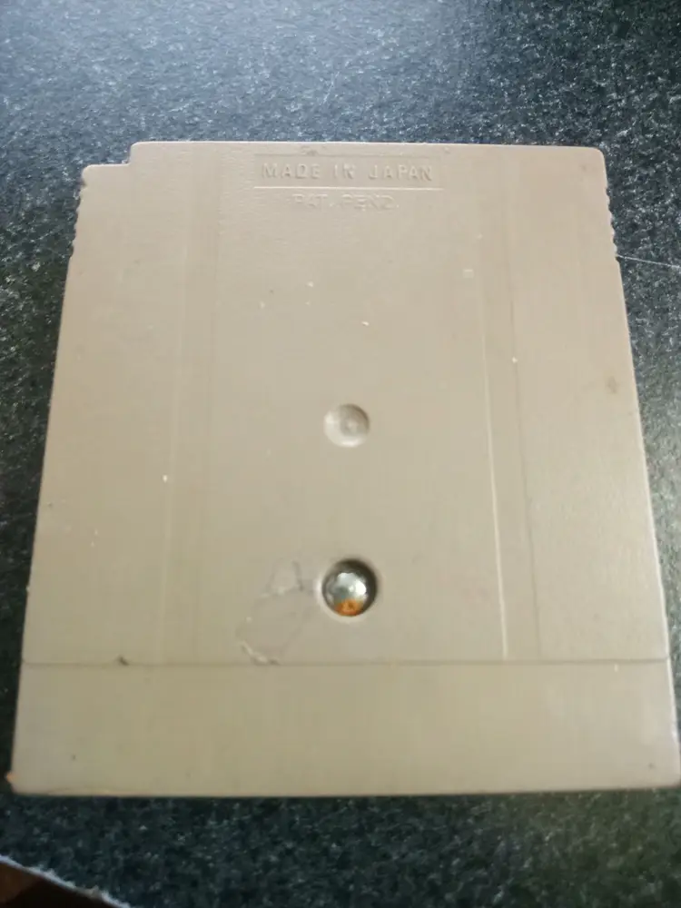 Revenge of the Gator