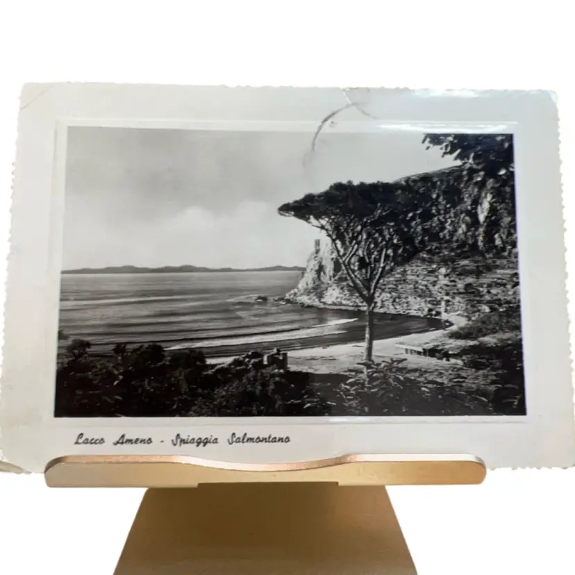 1950 Photo Postcard Lacco Ameno Italy (Ischia, Italy)