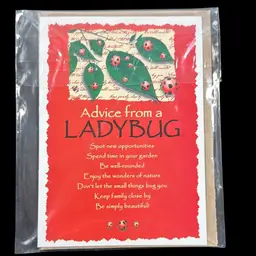 Ladybug & Butterfly Greeting Cards 5” x 7”