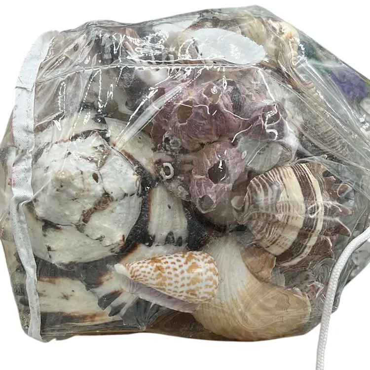 Bag O Shells