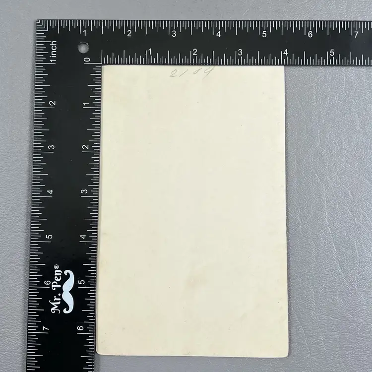 Antique Cabinet Card Photo Woman Portrait Perkinson New York c1890s Female Victorian