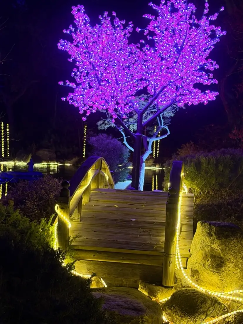 Livestream thumbnail