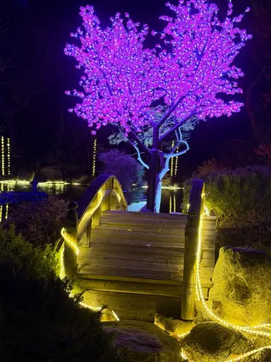 PickerGems Variety Of Fenton And A Shell