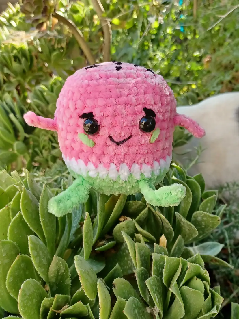 Happy Melon