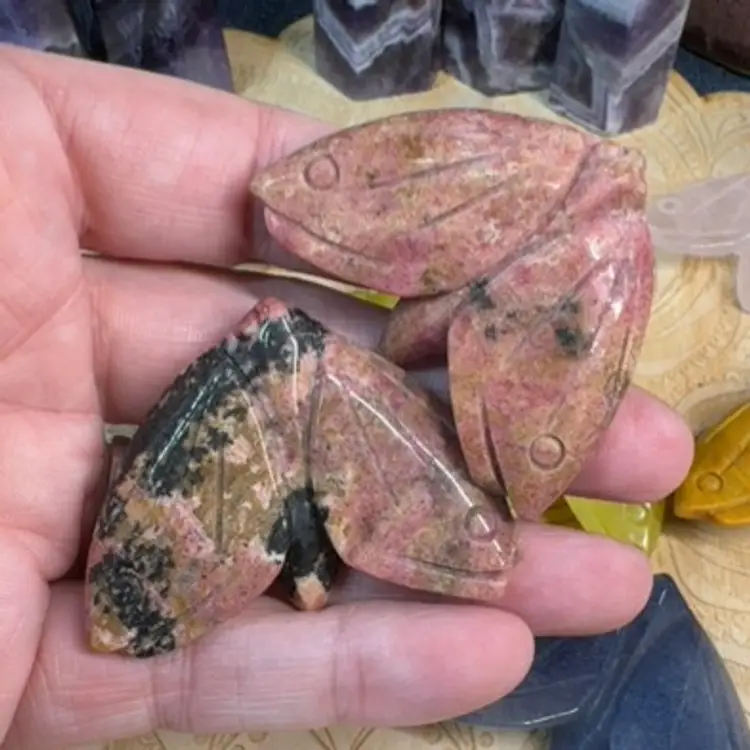 Rhodonite Moth