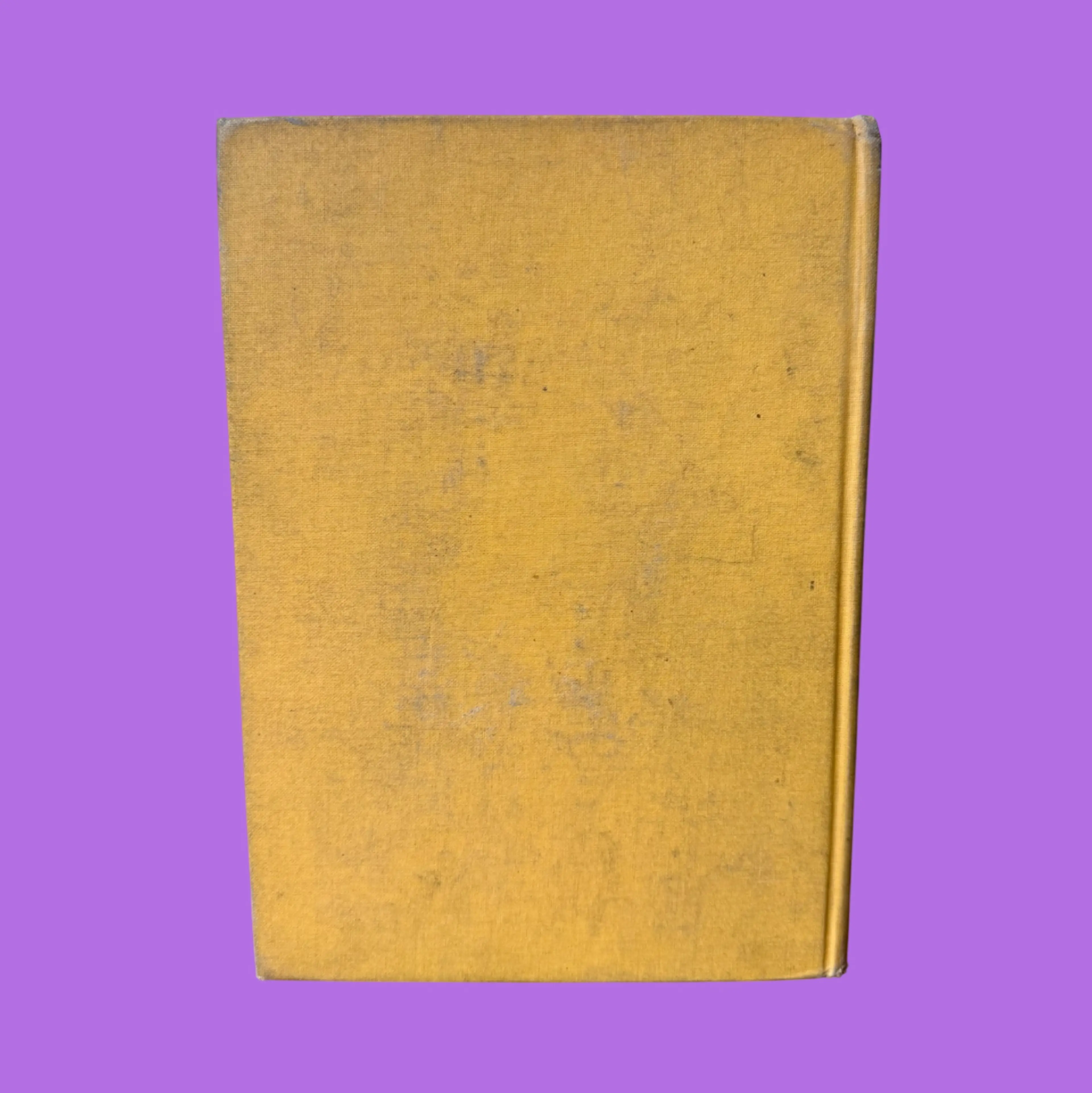 Image 2 of 16