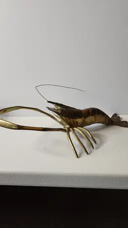 LARGE BRASS SHRIMP