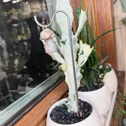 063 -Crystal Mushroom Plant Stake