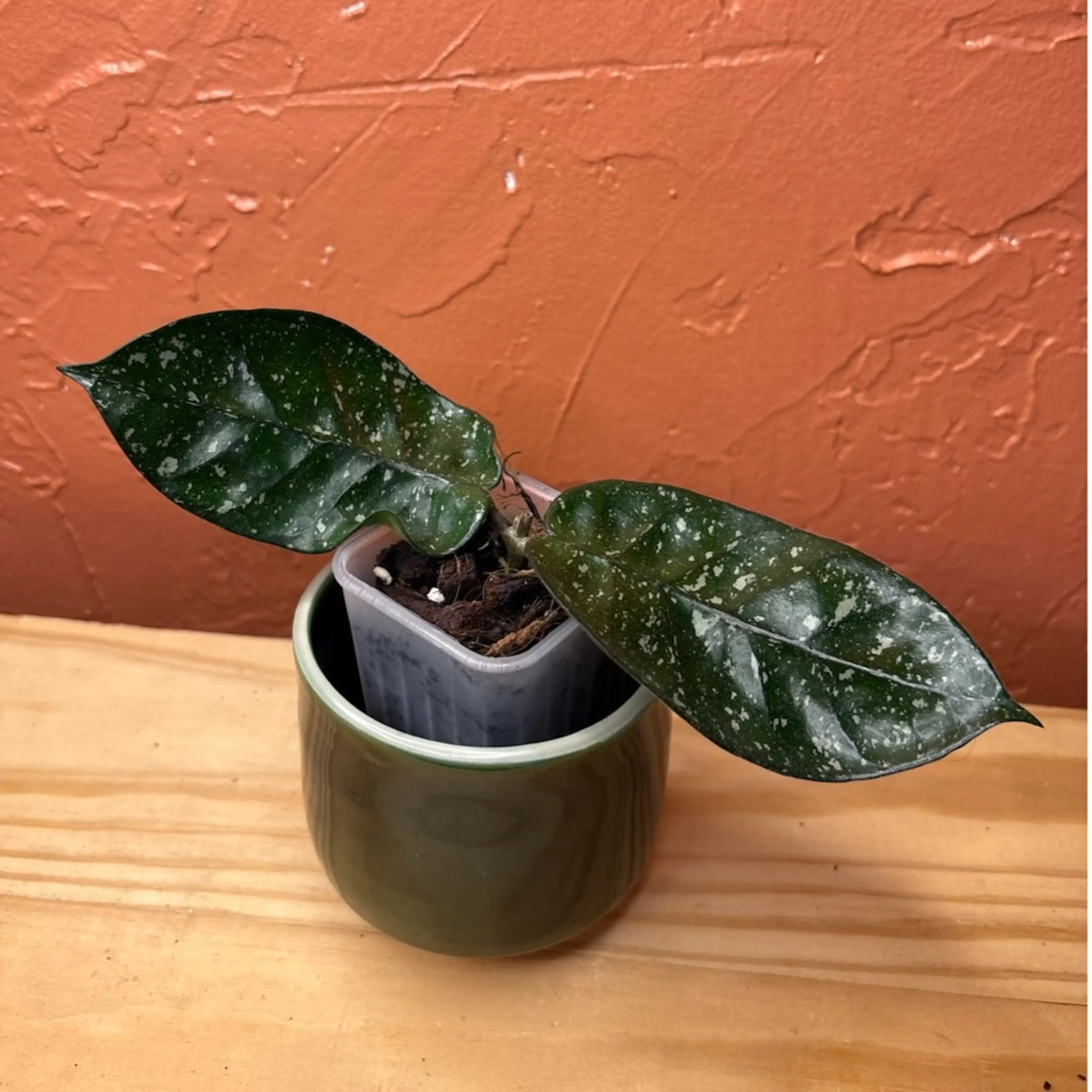 Image 3 of 3
