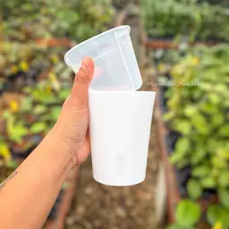 Pack of 20 - 4in Self Watering Pot