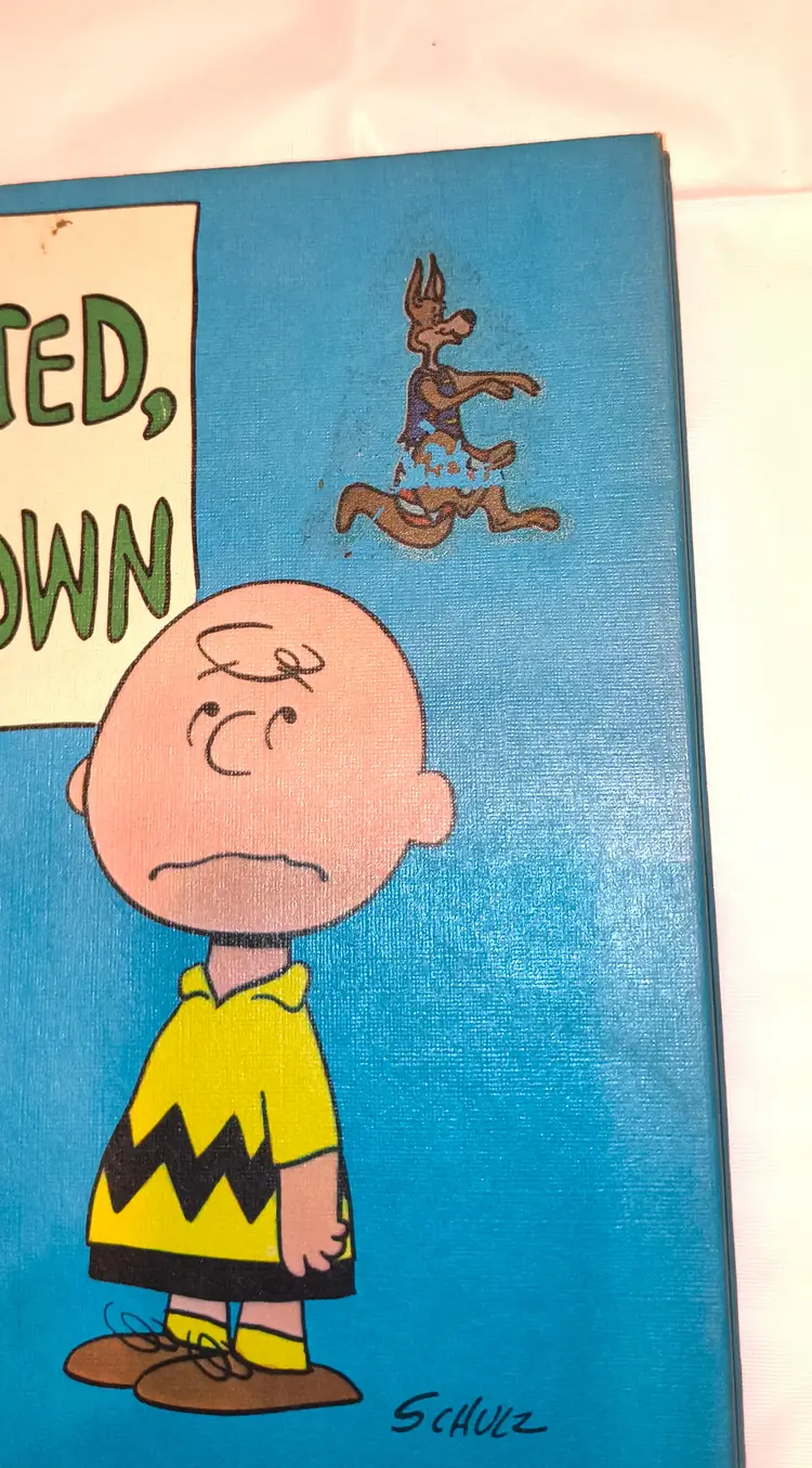 Charlie Brown/ Snoopy Memorabilia