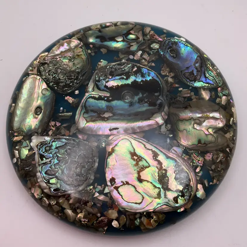 POW3 Abalone Shell Trivet Heat Resistant Plastic Monterey CA 5.75"