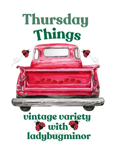 🐞Thursday Things🐞with Ladybugminor🐞