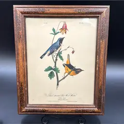 John James Audubon-Black-Throated Blue Wood Wobbler. 95 mounted in a picture frame very old.