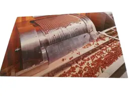 Vtg Postcard unposted Hershey PA Kisses rolling off the assembly line 1960s