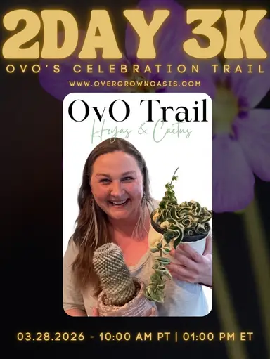 Cactus • Succulents • Hoyas