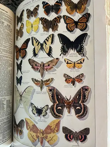 HUGE Haul! Great Items!! So Good! (just Finished Loading The Van)